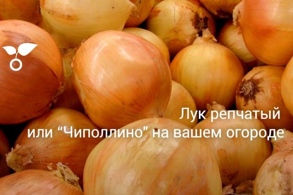 Кракен макет плейс