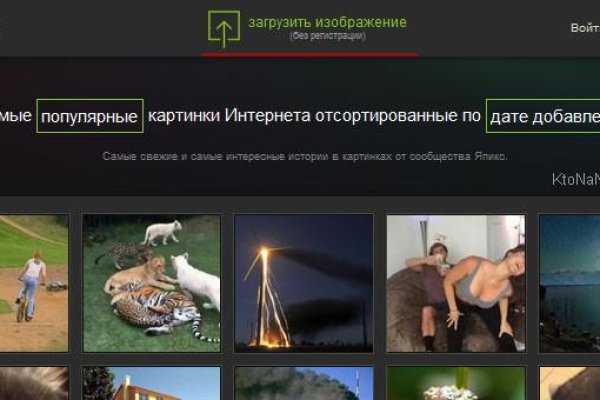 Кракен сайт дарк нет