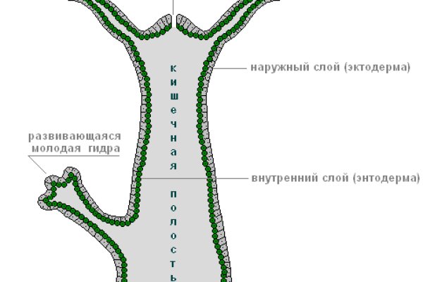 Kra37.at