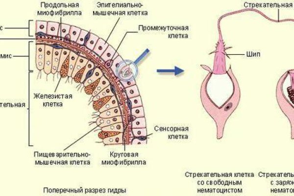 Кракен порошок