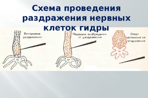 Кракен маркетплейс что там