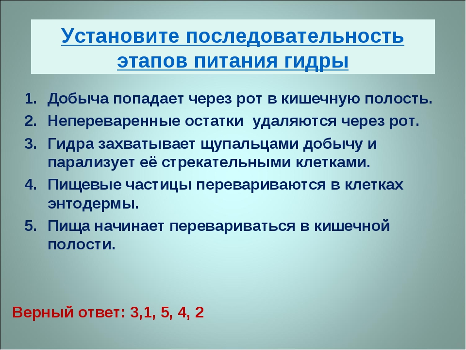 Кракен 16 at